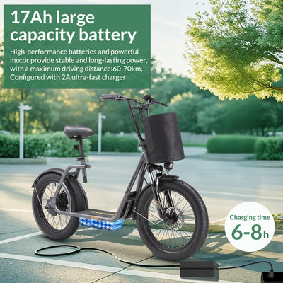 iX3 800w Trottinette électrique Tout Terrain
