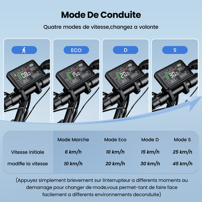 W9 Trottinette électrique tout-terrain 1000W